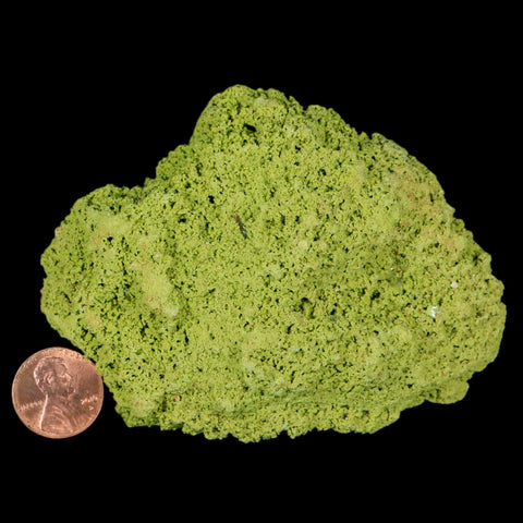 3.7" Rough Green Nontronite Mineral Specimen Jove Lauriano Minas Gerais Brazil - Fossil Age Minerals