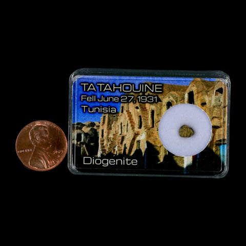 Tatahouine Diogenite Stony Meteorite Achondrites Specimen Fell June 24, 1931 Display - Fossil Age Minerals