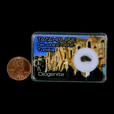 Tatahouine Diogenite Stony Meteorite Achondrites Specimen Fell June 24, 1931 Display - Fossil Age Minerals