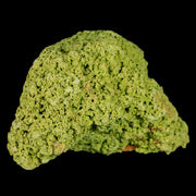 3.3" Rough Green Nontronite Mineral Specimen Jove Lauriano Minas Gerais Brazil