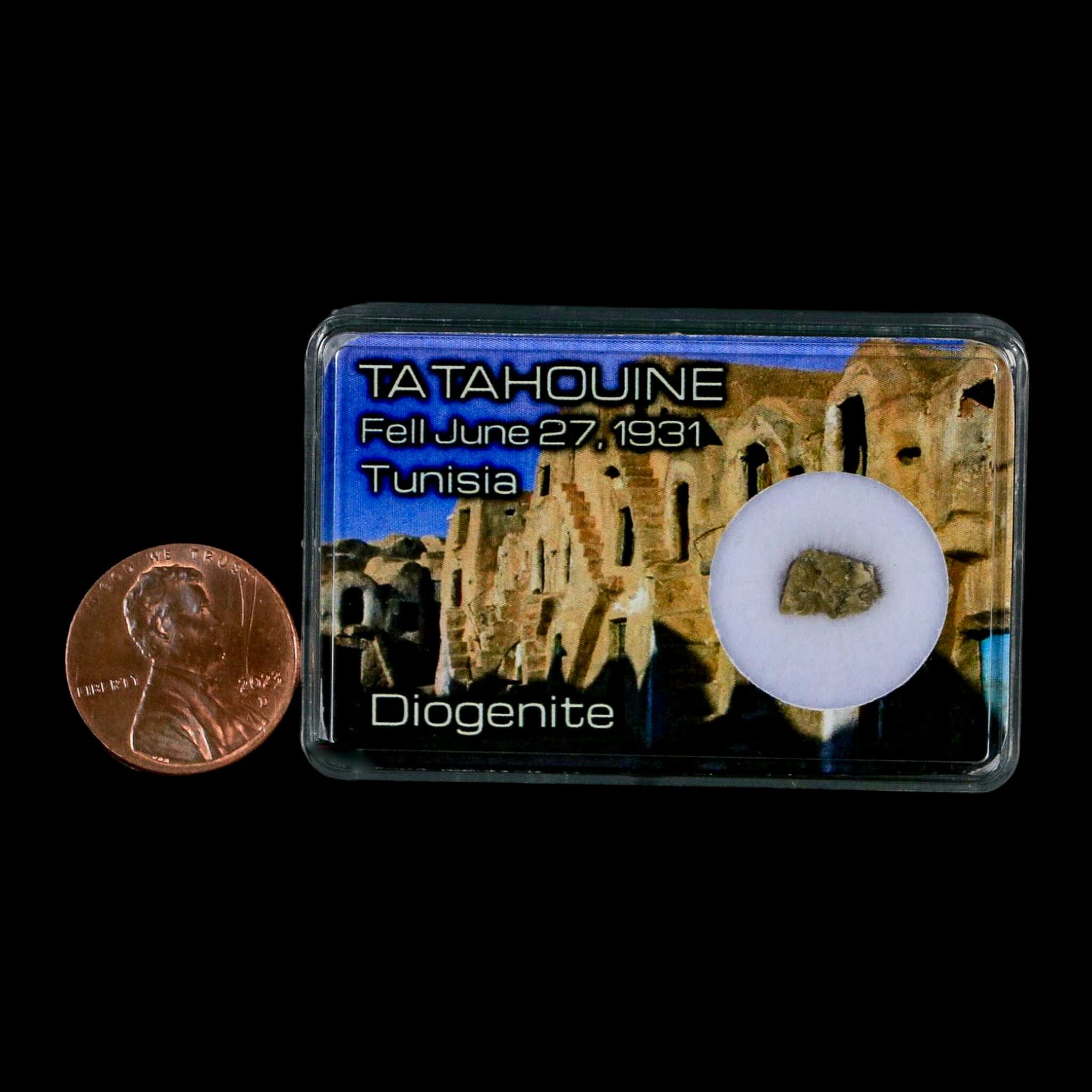 Tatahouine Diogenite Stony Meteorite Achondrites Specimen Fell June 24, 1931 Display - Fossil Age Minerals