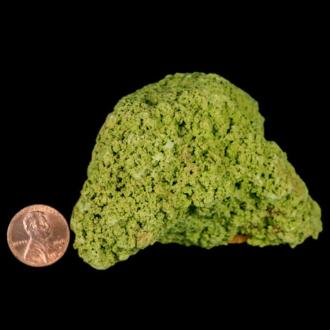3.3" Rough Green Nontronite Mineral Specimen Jove Lauriano Minas Gerais Brazil - Fossil Age Minerals