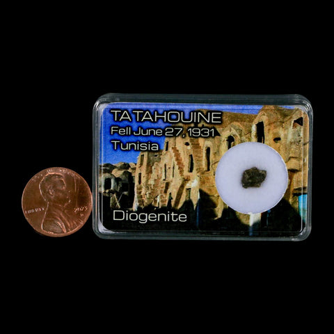 Tatahouine Diogenite Stony Meteorite Achondrites Specimen Fell June 24, 1931 Display - Fossil Age Minerals