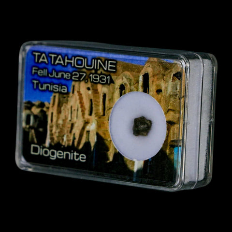 Tatahouine Diogenite Stony Meteorite Achondrites Specimen Fell June 24, 1931 Display - Fossil Age Minerals