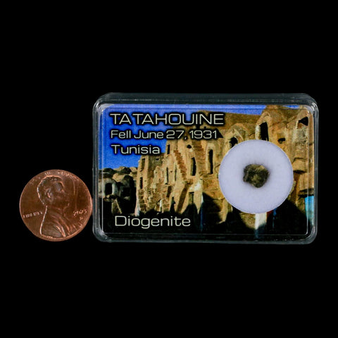 Tatahouine Diogenite Stony Meteorite Achondrites Specimen Fell June 24, 1931 Display - Fossil Age Minerals