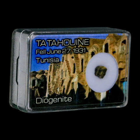 Tatahouine Diogenite Stony Meteorite Achondrites Specimen Fell June 24, 1931 Display - Fossil Age Minerals