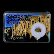 Tatahouine Diogenite Stony Meteorite Achondrites Specimen Fell June 24, 1931 Display