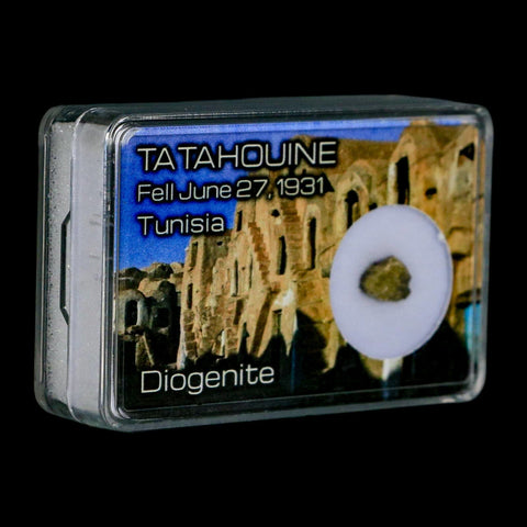 Tatahouine Diogenite Stony Meteorite Achondrites Specimen Fell June 24, 1931 Display - Fossil Age Minerals