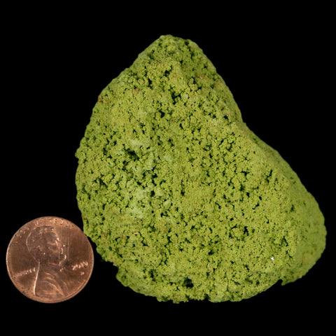 2.2" Rough Green Nontronite Mineral Specimen Jove Lauriano Minas Gerais Brazil - Fossil Age Minerals