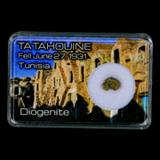 Tatahouine Diogenite Stony Meteorite Achondrites Specimen Fell June 24, 1931 Display