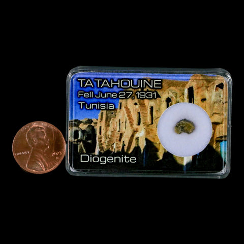Tatahouine Diogenite Stony Meteorite Achondrites Specimen Fell June 24, 1931 Display - Fossil Age Minerals
