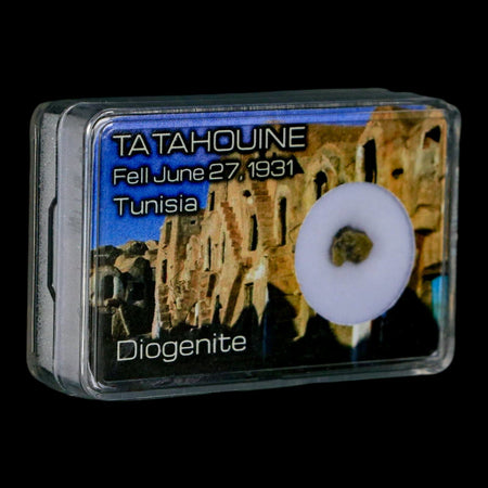 Tatahouine Diogenite Stony Meteorite Achondrites Specimen Fell June 24, 1931 Display