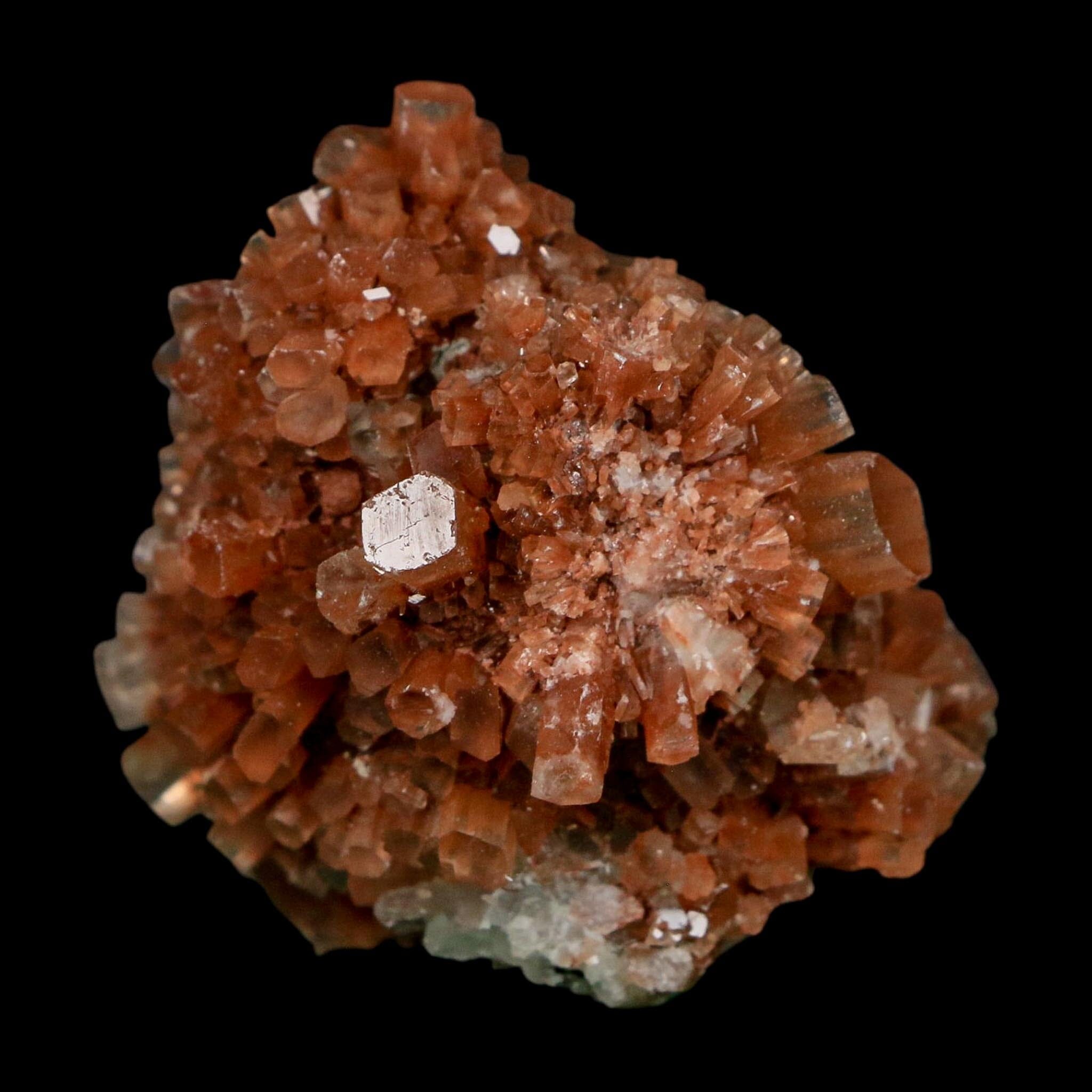 2.2" Aragonite Mineral Two Tone Crystal Cluster Specimen Tazouta Morocco - Fossil Age Minerals