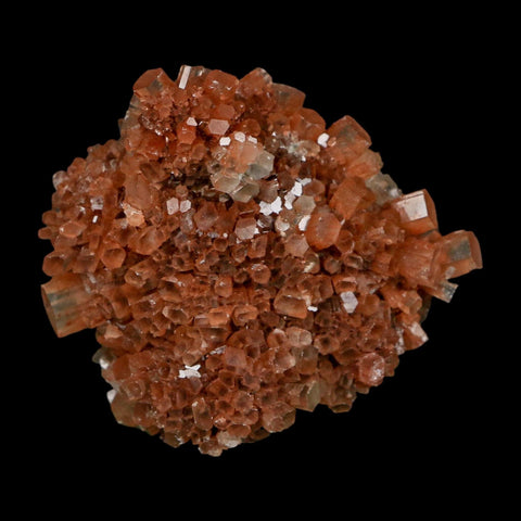 2.2" Aragonite Mineral Two Tone Crystal Cluster Specimen Tazouta Morocco