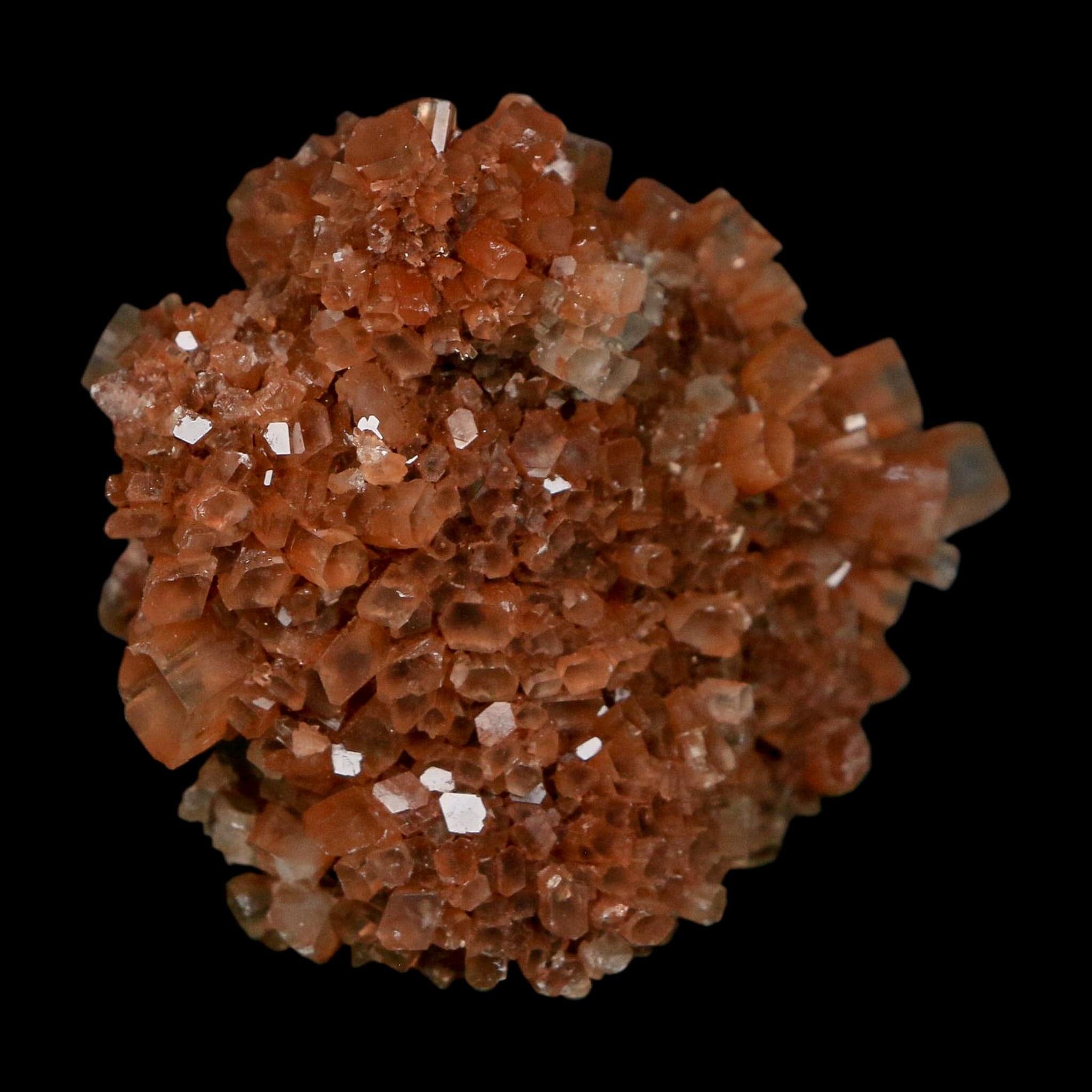 2.2" Aragonite Mineral Two Tone Crystal Cluster Specimen Tazouta Morocco - Fossil Age Minerals