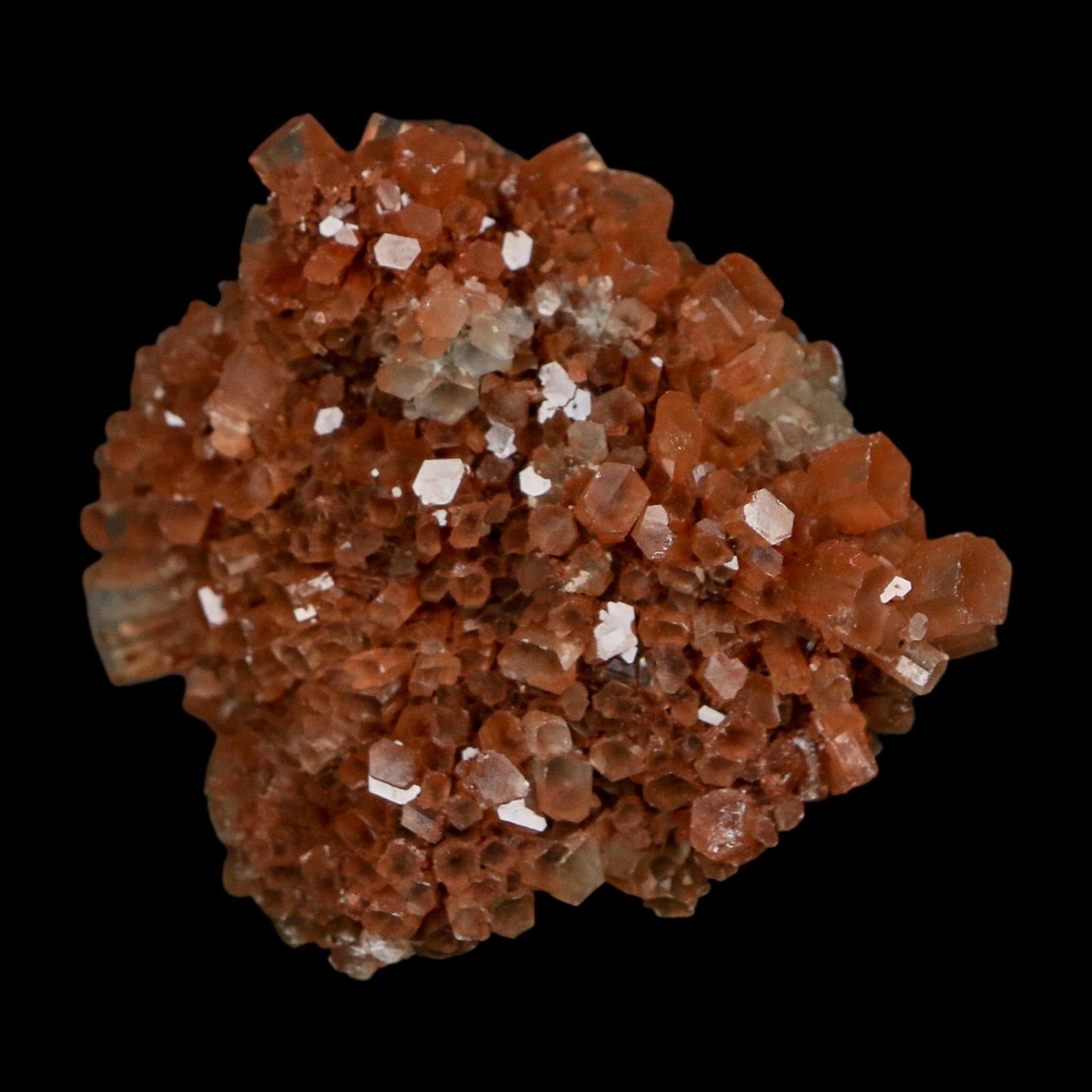 2.2" Aragonite Mineral Two Tone Crystal Cluster Specimen Tazouta Morocco - Fossil Age Minerals