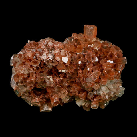 2.4" Aragonite Mineral Two Tone Crystal Cluster Specimen Tazouta Morocco