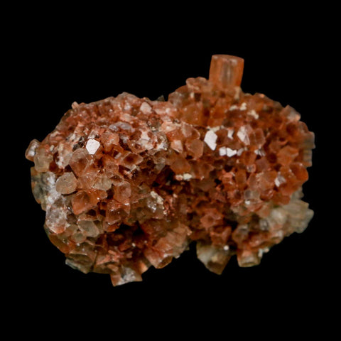2.4" Aragonite Mineral Two Tone Crystal Cluster Specimen Tazouta Morocco