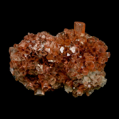 2.4" Aragonite Mineral Two Tone Crystal Cluster Specimen Tazouta Morocco