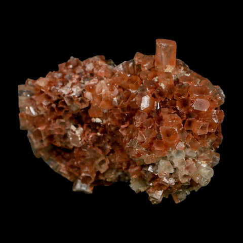 2.4" Aragonite Mineral Two Tone Crystal Cluster Specimen Tazouta Morocco