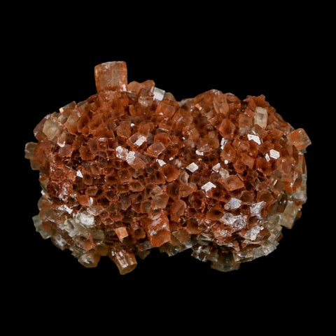 2.4" Aragonite Mineral Two Tone Crystal Cluster Specimen Tazouta Morocco