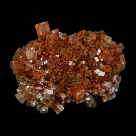 2.4" Aragonite Mineral Two Tone Crystal Cluster Specimen Tazouta Morocco