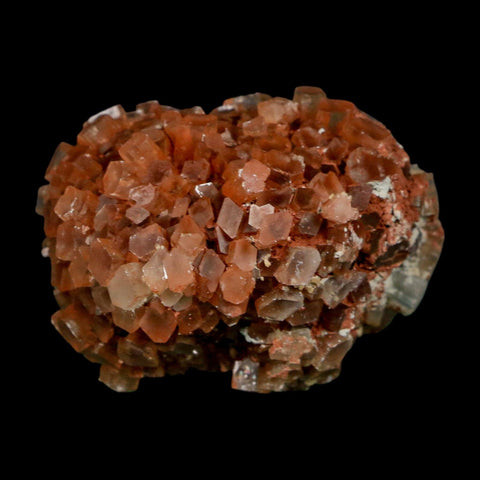2" Aragonite Mineral Two Tone Crystal Cluster Specimen Tazouta Morocco
