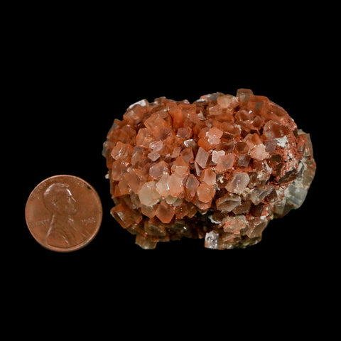 2" Aragonite Mineral Two Tone Crystal Cluster Specimen Tazouta Morocco