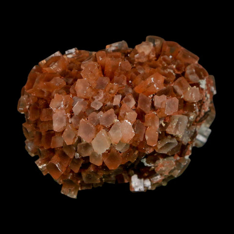 2" Aragonite Mineral Two Tone Crystal Cluster Specimen Tazouta Morocco