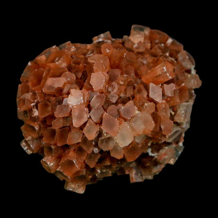 2" Aragonite Mineral Two Tone Crystal Cluster Specimen Tazouta Morocco