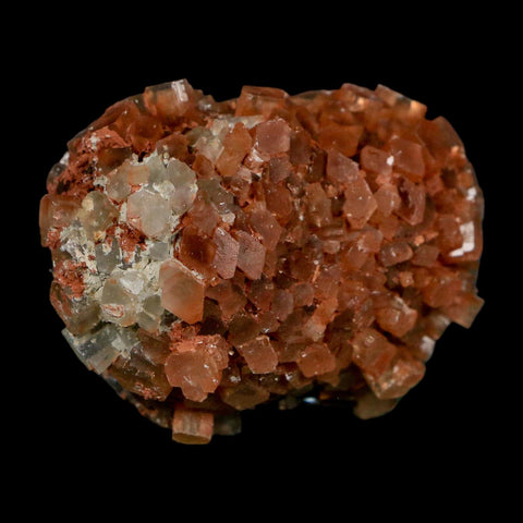 2" Aragonite Mineral Two Tone Crystal Cluster Specimen Tazouta Morocco