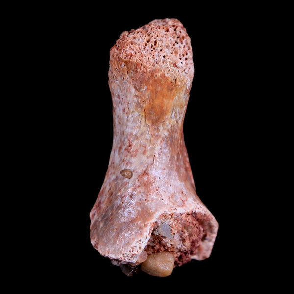 1.5