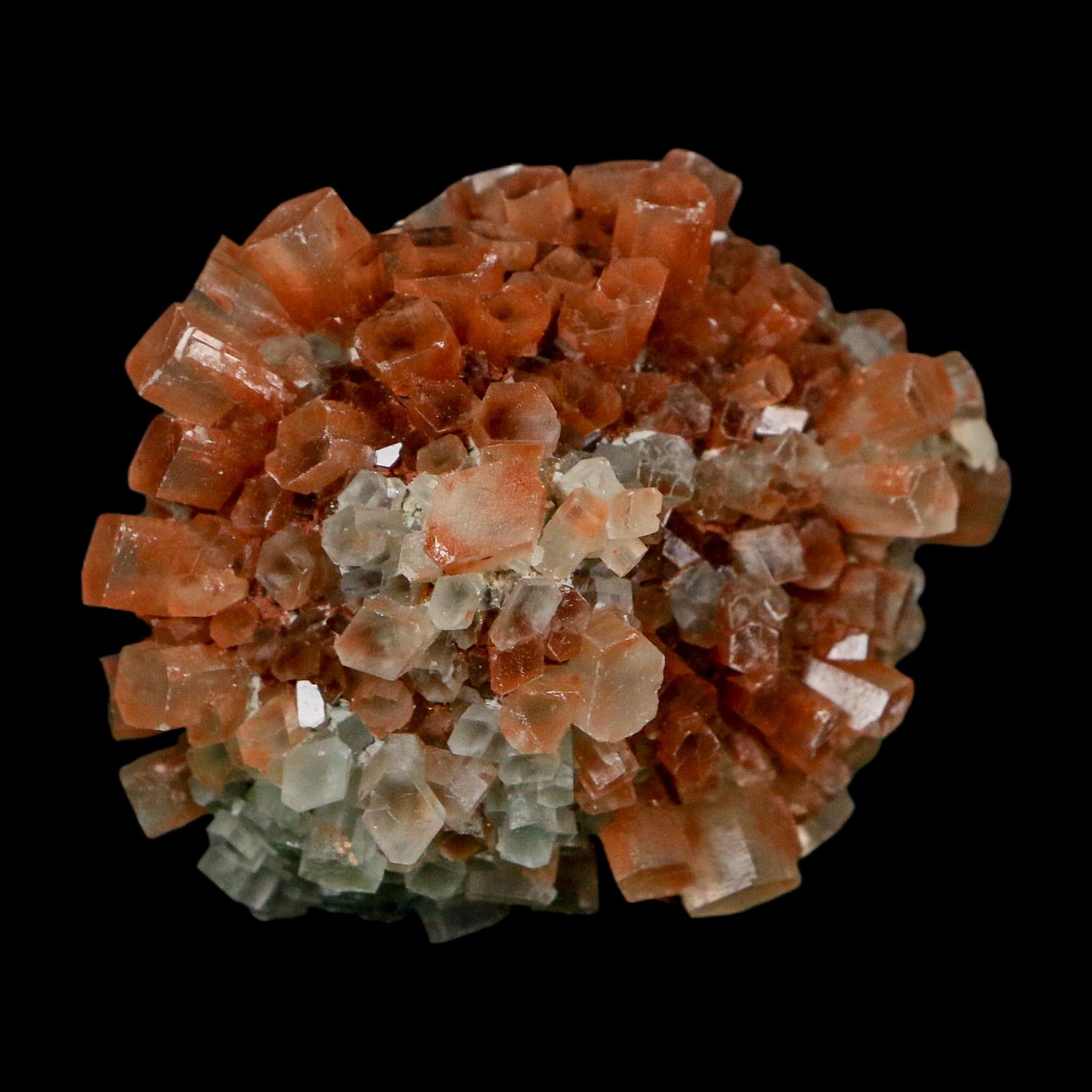 2.1" Aragonite Mineral Two Tone Crystal Cluster Specimen Tazouta Morocco - Fossil Age Minerals