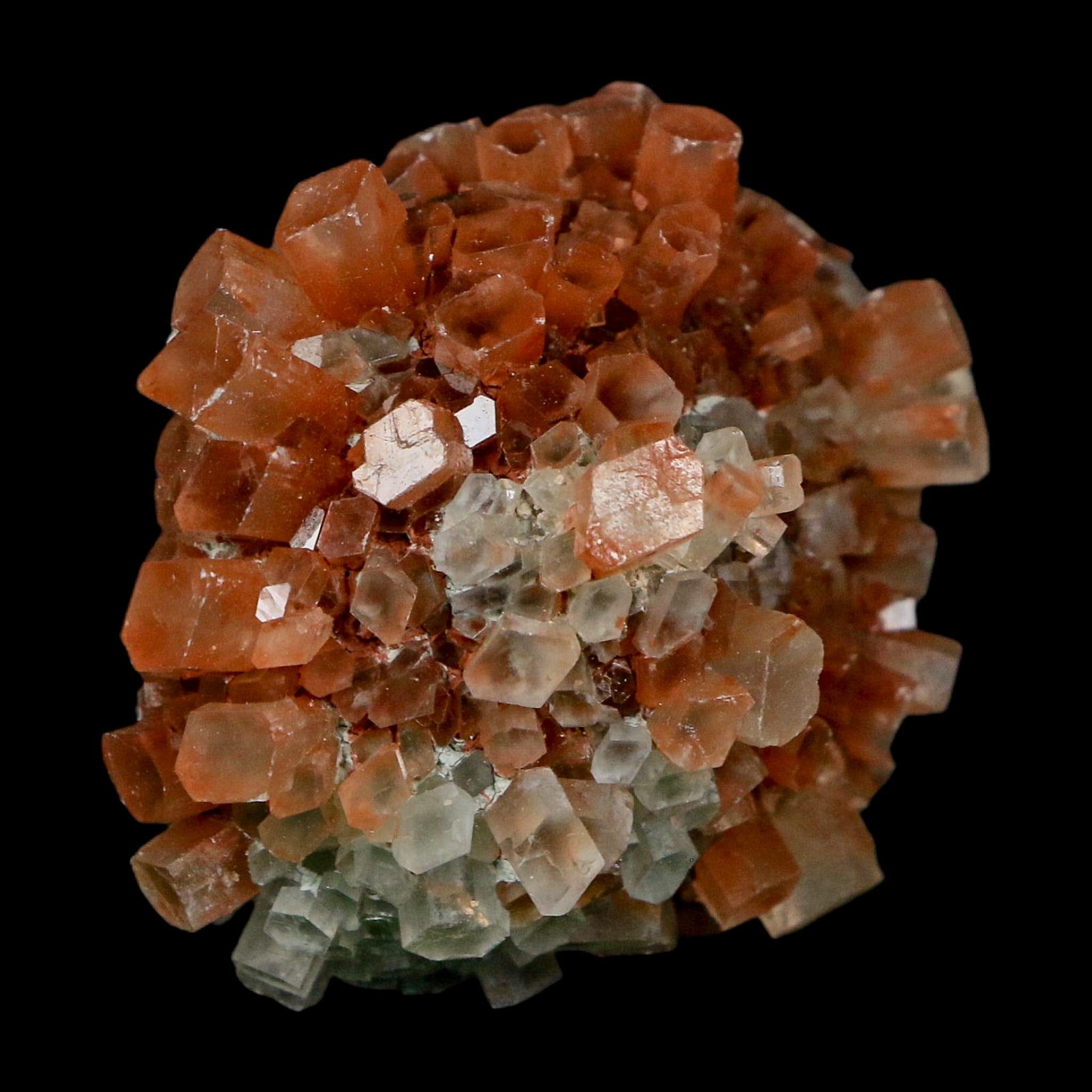2.1" Aragonite Mineral Two Tone Crystal Cluster Specimen Tazouta Morocco - Fossil Age Minerals