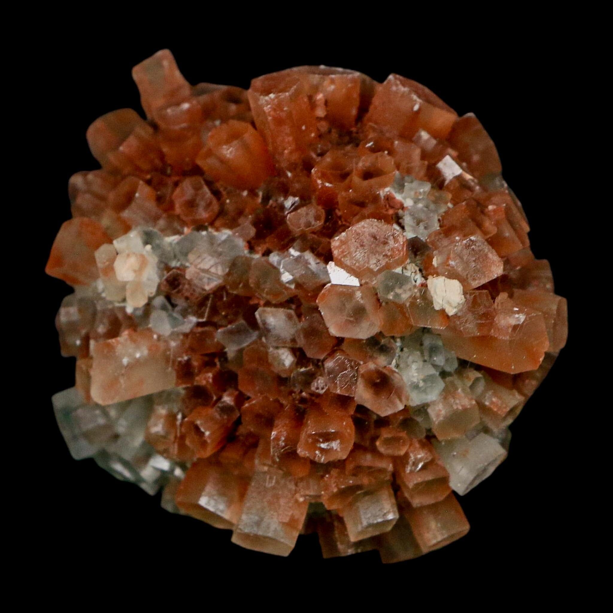 2.1" Aragonite Mineral Two Tone Crystal Cluster Specimen Tazouta Morocco - Fossil Age Minerals