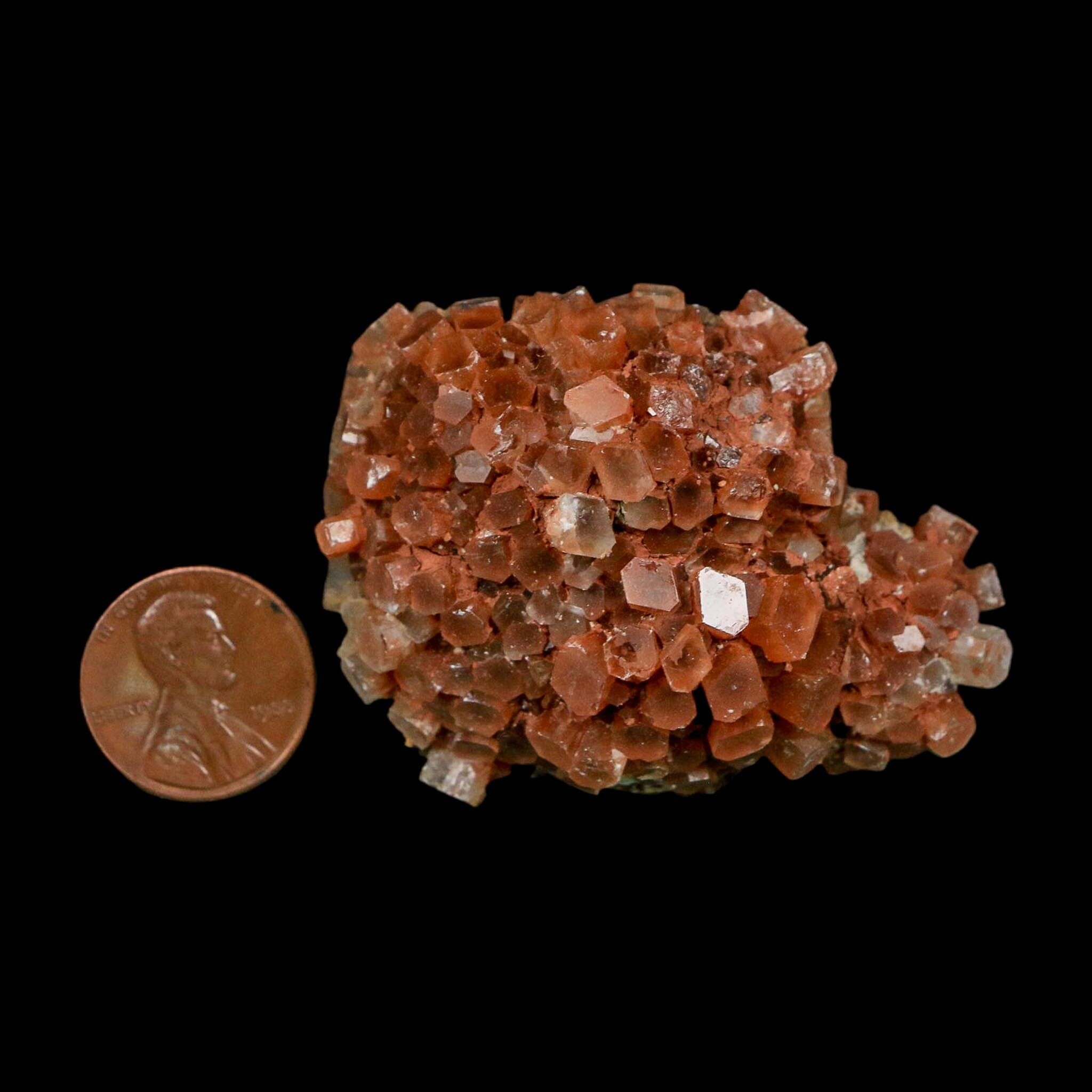 2.1" Aragonite Mineral Two Tone Crystal Cluster Specimen Tazouta Morocco - Fossil Age Minerals