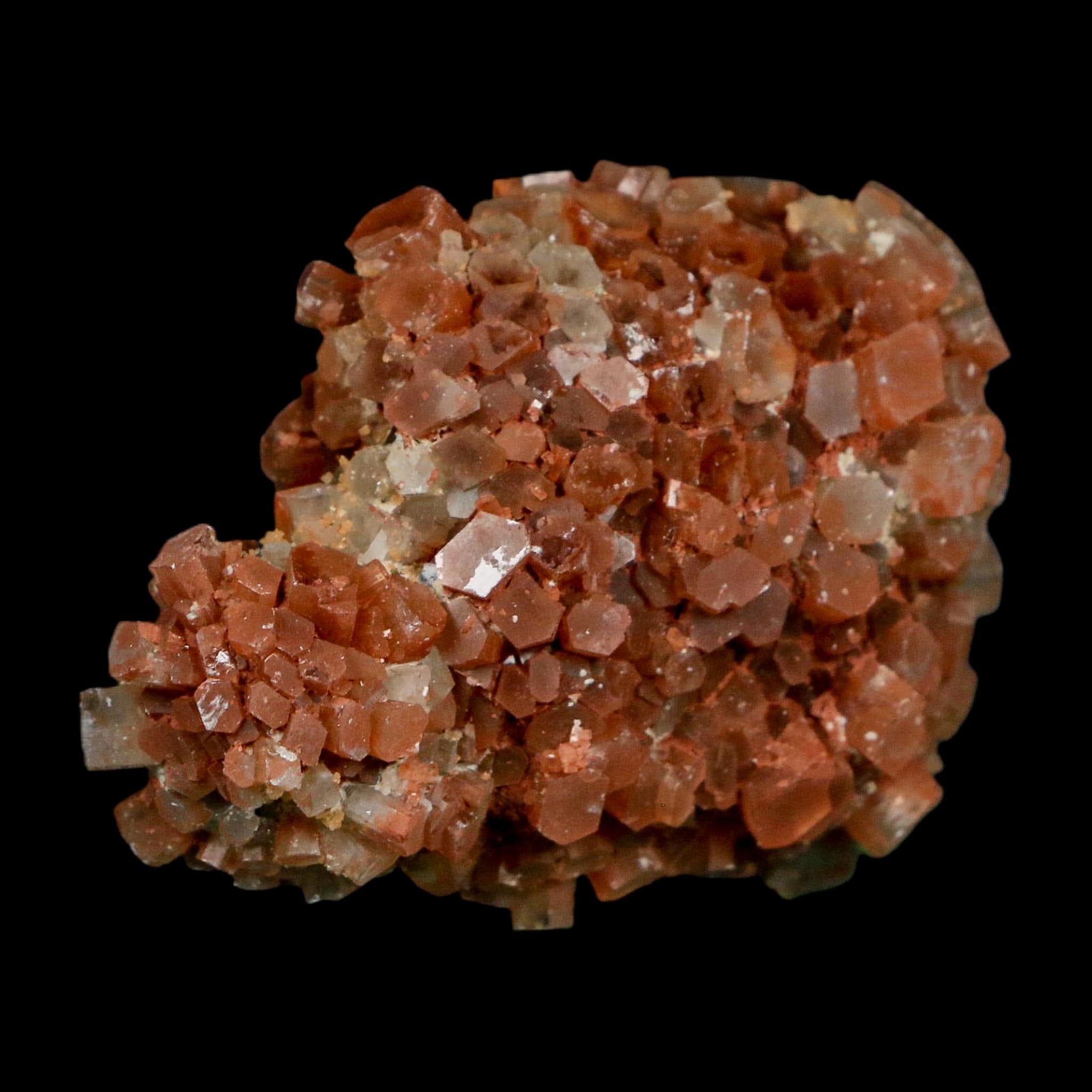 2.1" Aragonite Mineral Two Tone Crystal Cluster Specimen Tazouta Morocco - Fossil Age Minerals