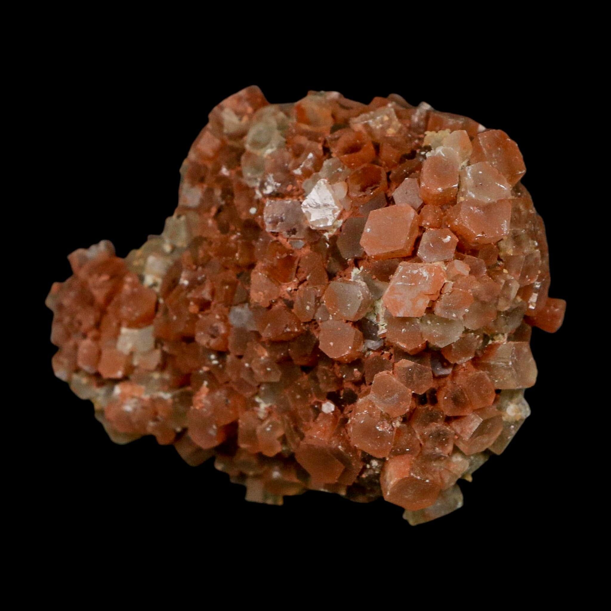 2.1" Aragonite Mineral Two Tone Crystal Cluster Specimen Tazouta Morocco - Fossil Age Minerals