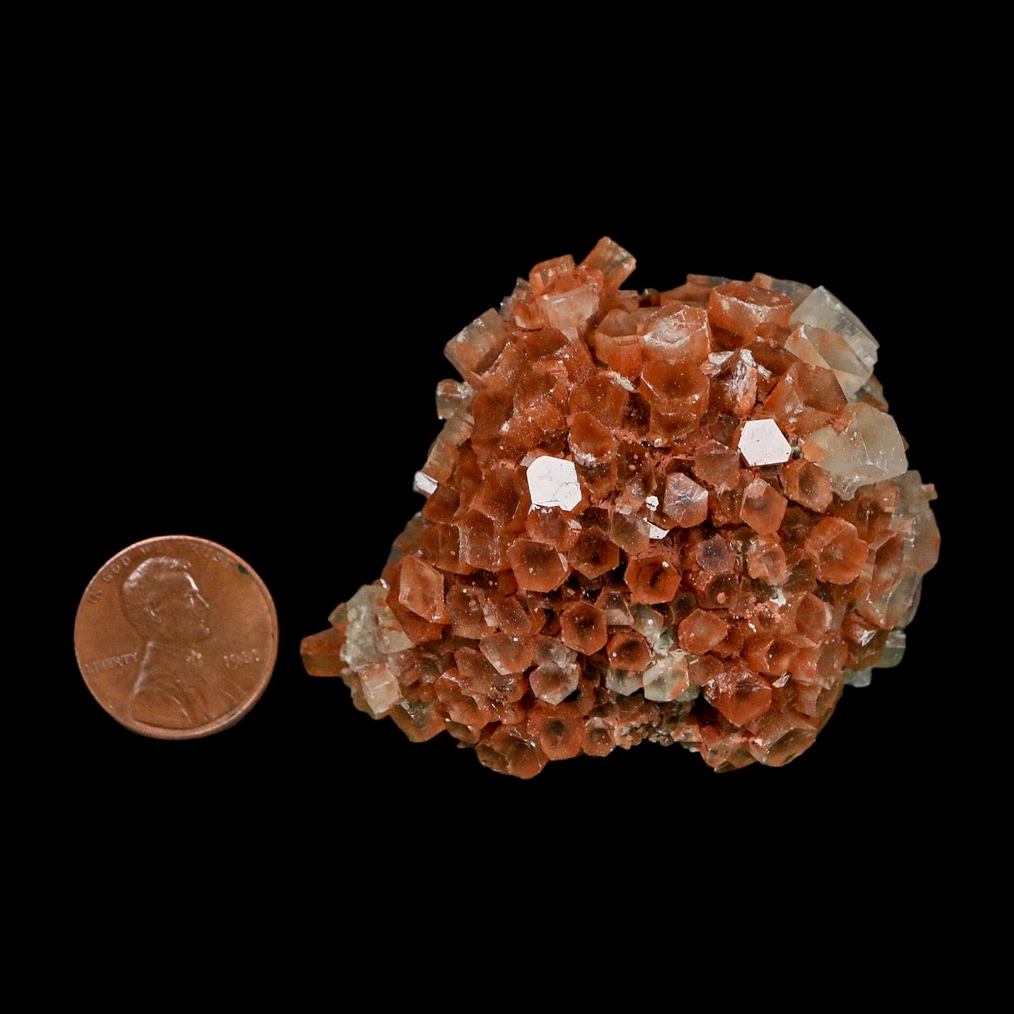 2.3" Aragonite Mineral Two Tone Crystal Cluster Specimen Tazouta Morocco - Fossil Age Minerals