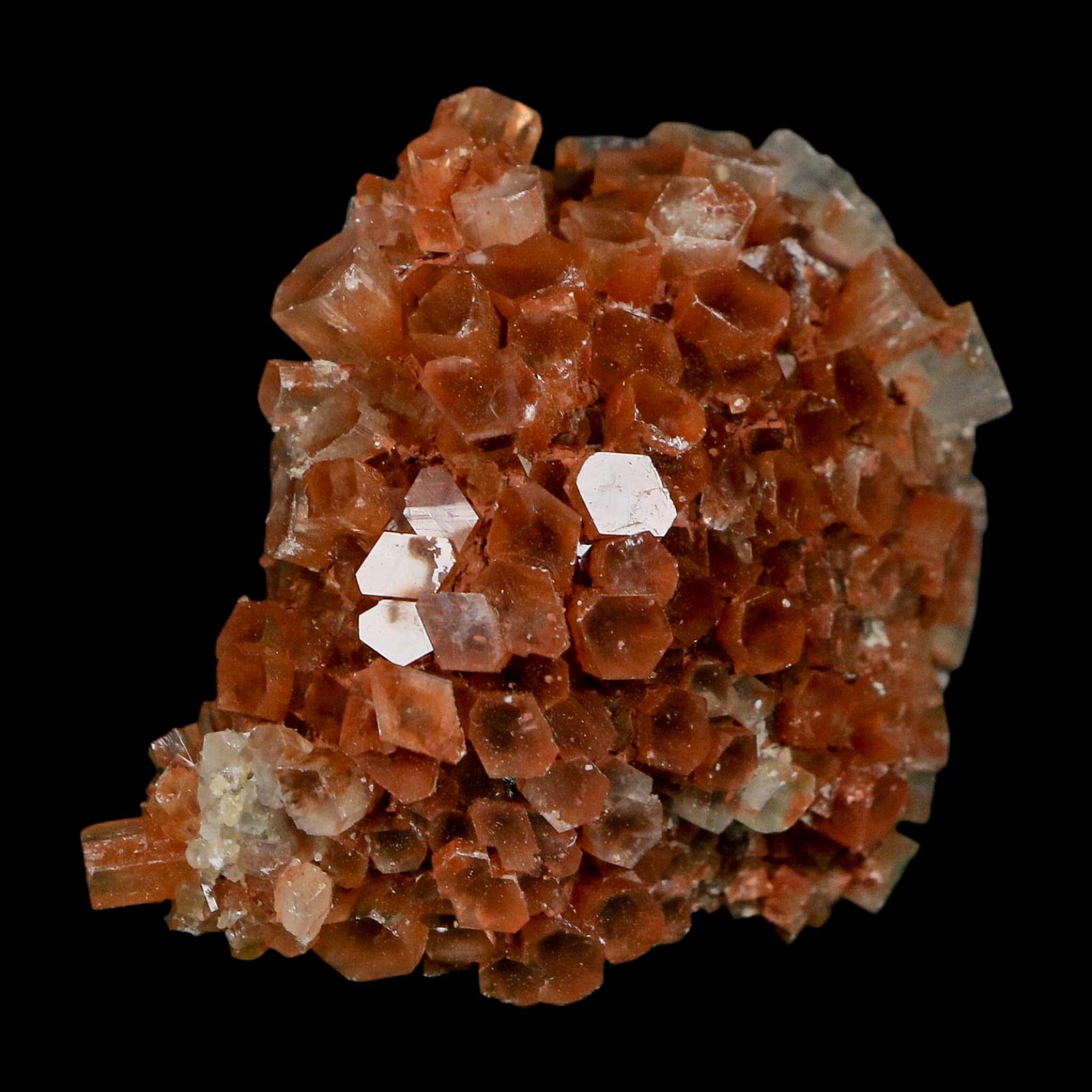2.3" Aragonite Mineral Two Tone Crystal Cluster Specimen Tazouta Morocco - Fossil Age Minerals
