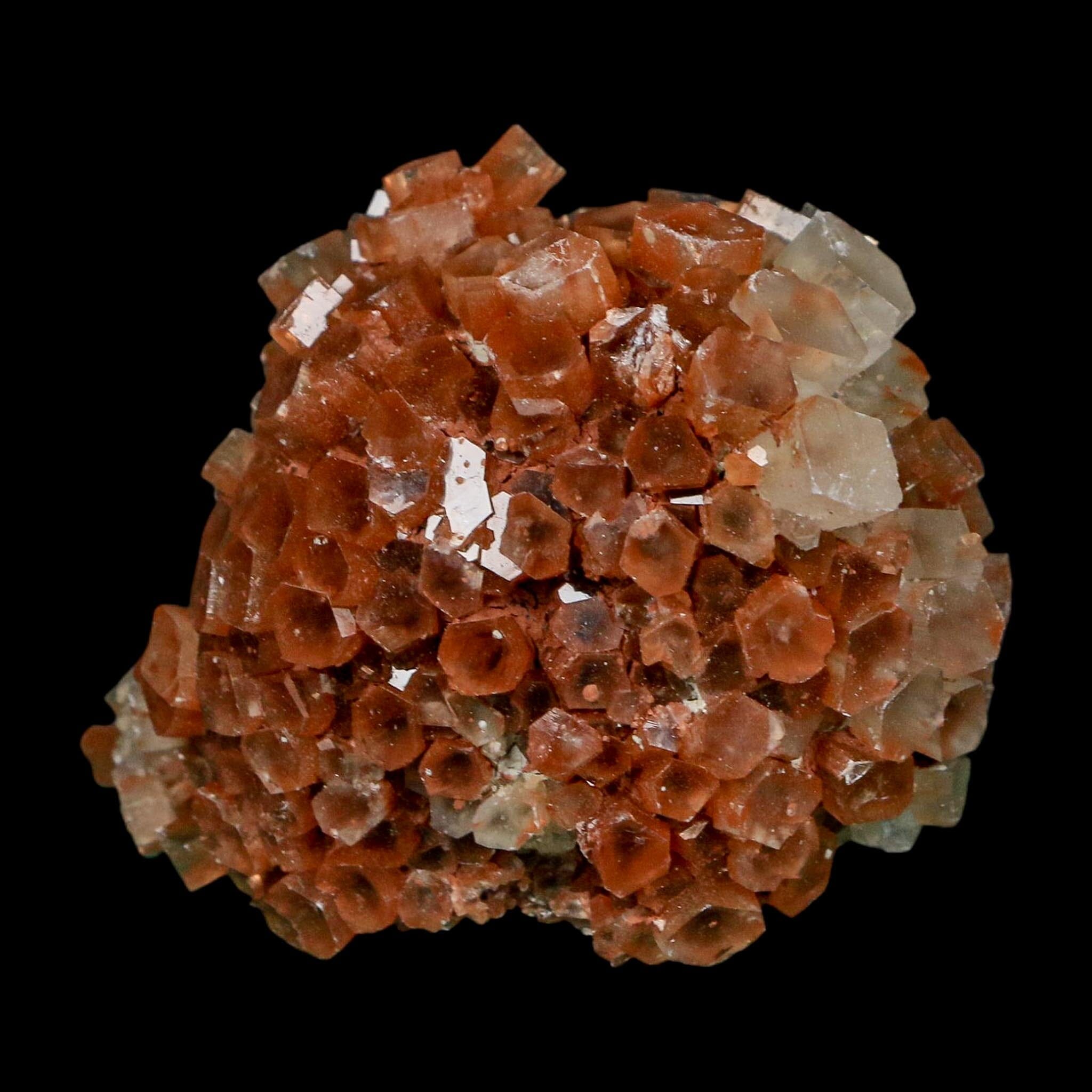 2.3" Aragonite Mineral Two Tone Crystal Cluster Specimen Tazouta Morocco - Fossil Age Minerals