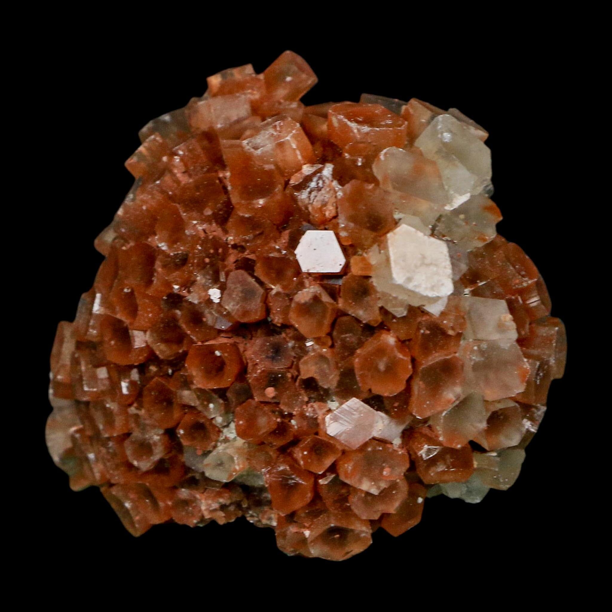 2.3" Aragonite Mineral Two Tone Crystal Cluster Specimen Tazouta Morocco - Fossil Age Minerals