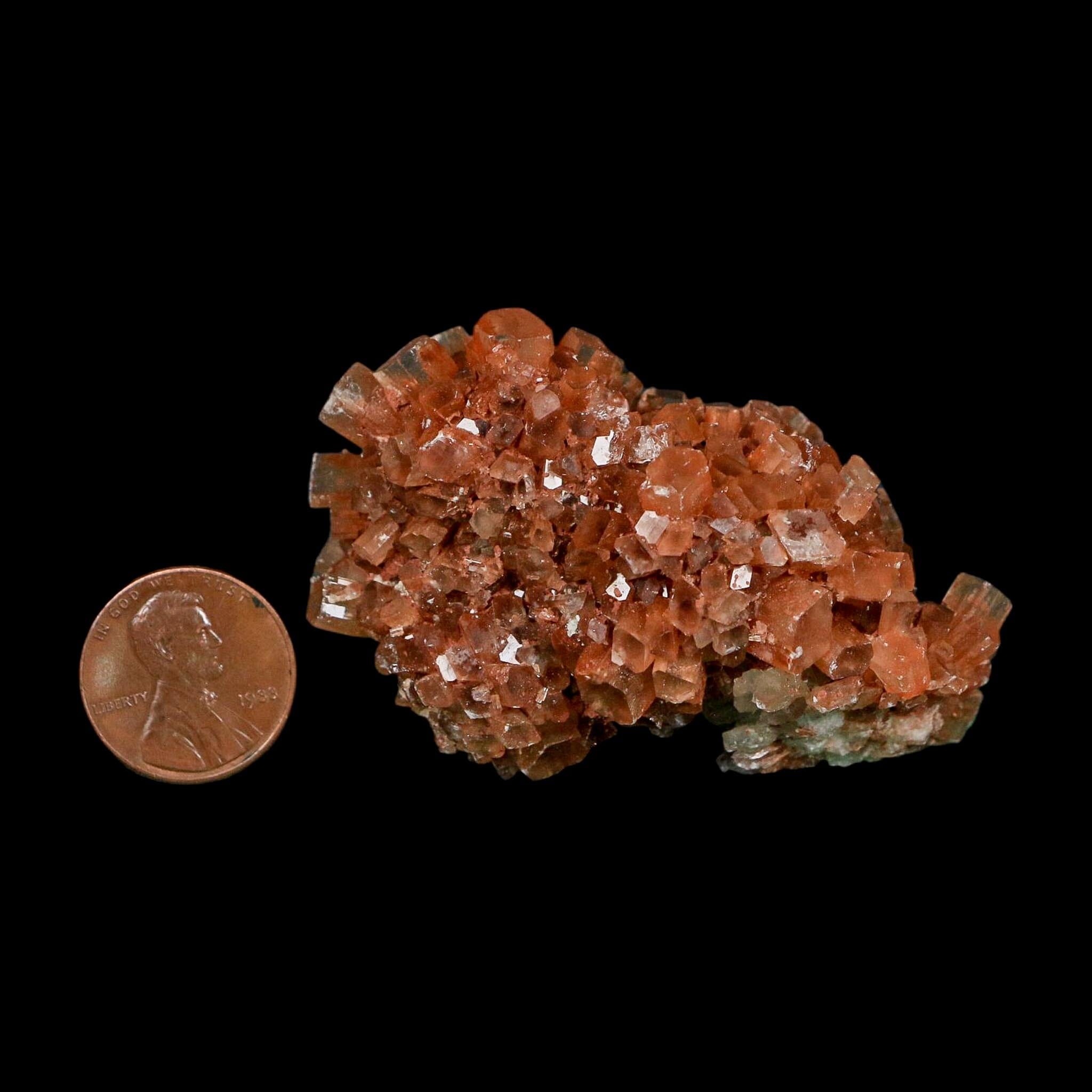 2.4" Aragonite Mineral Two Tone Crystal Cluster Specimen Tazouta Morocco - Fossil Age Minerals