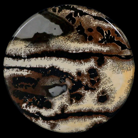 61MM Chinese Picture Jasper Mineral Specimen Round Polished Slab Liaoning, China - Fossil Age Minerals