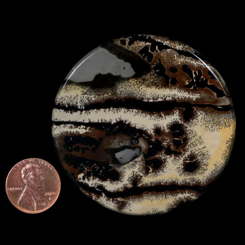 61MM Chinese Picture Jasper Mineral Specimen Round Polished Slab Liaoning, China - Fossil Age Minerals