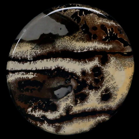61MM Chinese Picture Jasper Mineral Specimen Round Polished Slab Liaoning, China - Fossil Age Minerals