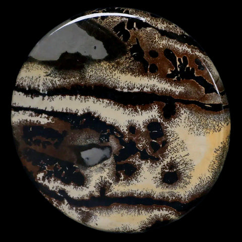 61MM Chinese Picture Jasper Mineral Specimen Round Polished Slab Liaoning, China - Fossil Age Minerals