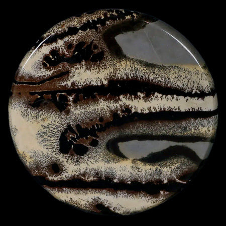 61MM Chinese Picture Jasper Mineral Specimen Round Polished Slab Liaoning, China