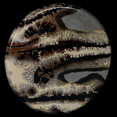 61MM Chinese Picture Jasper Mineral Specimen Round Polished Slab Liaoning, China - Fossil Age Minerals