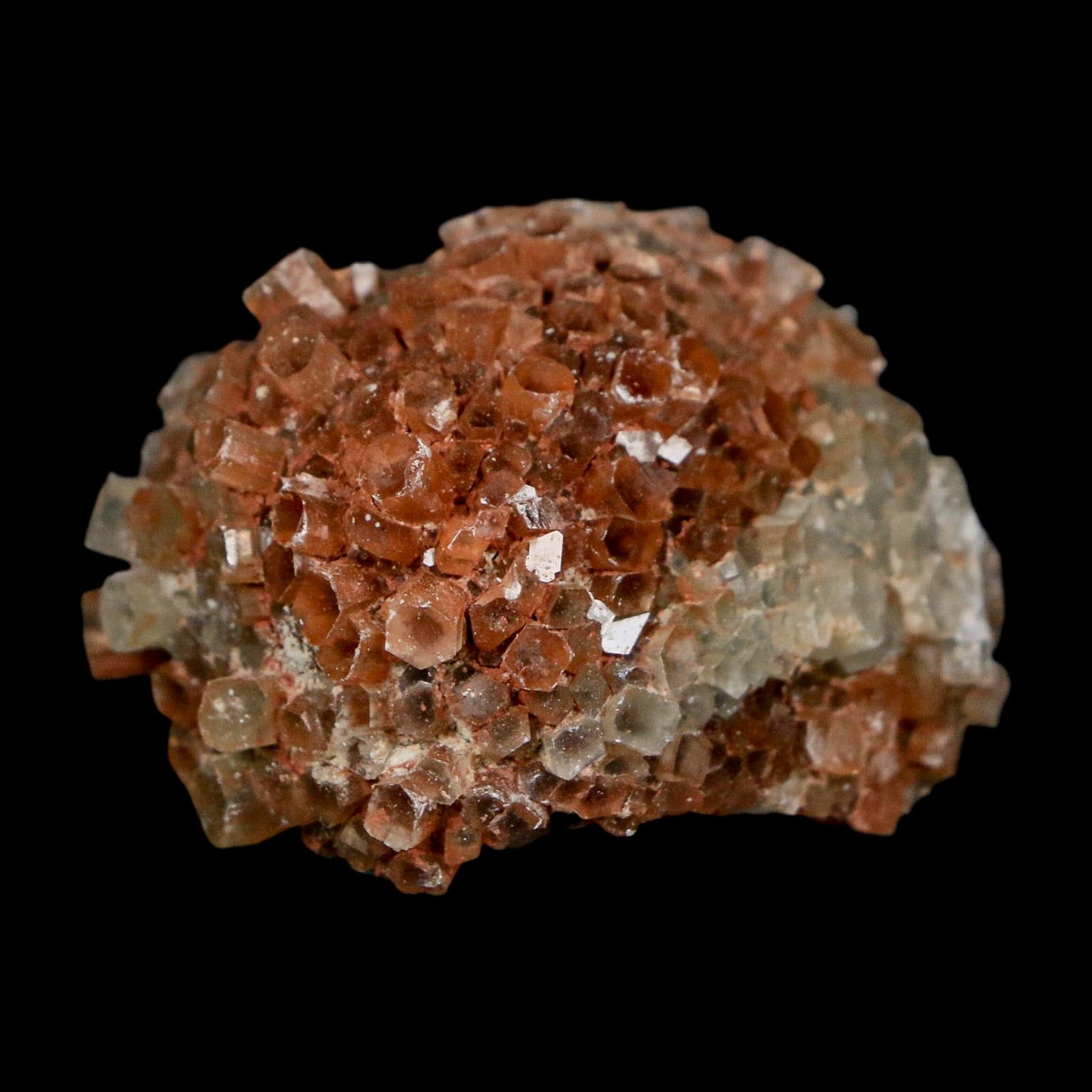 1.9" Aragonite Mineral Two Tone Crystal Cluster Specimen Tazouta Morocco - Fossil Age Minerals